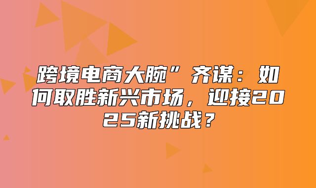跨境电商大腕”齐谋：如何取胜新兴市场，迎接2025新挑战？