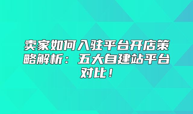 卖家如何入驻平台开店策略解析：五大自建站平台对比！