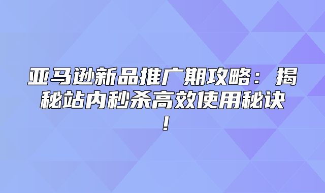 亚马逊新品推广期攻略：揭秘站内秒杀高效使用秘诀！