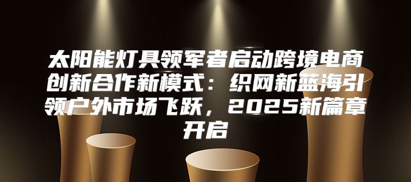 太阳能灯具领军者启动跨境电商创新合作新模式：织网新蓝海引领户外市场飞跃，2025新篇章开启