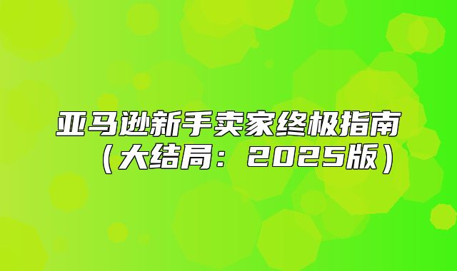 亚马逊新手卖家终极指南大结局：2025版