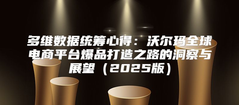 多维数据统筹心得：沃尔玛全球电商平台爆品打造之路的洞察与展望2025版