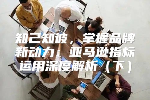 知己知彼，掌握品牌新动力：亚马逊指标运用深度解析下
