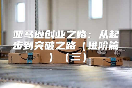 亚马逊创业之路：从起步到突破之路进阶篇三