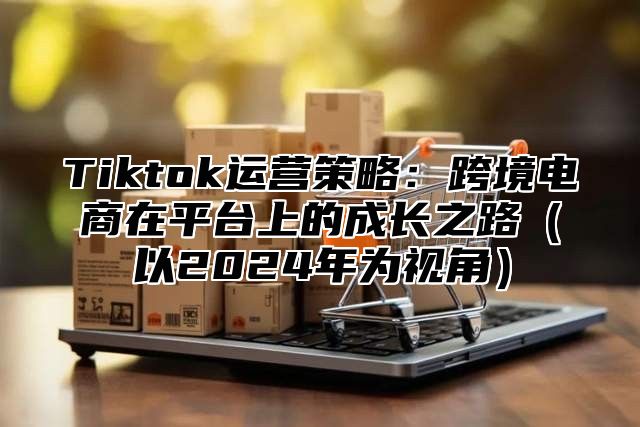 Tiktok运营策略：跨境电商在平台上的成长之路以2025年为视角