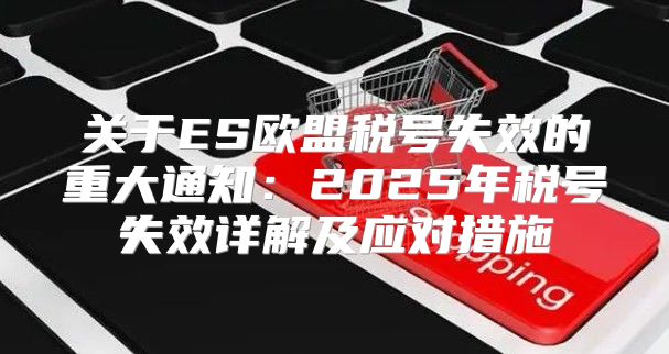 关于ES欧盟税号失效的重大通知：2025年税号失效详解及应对措施