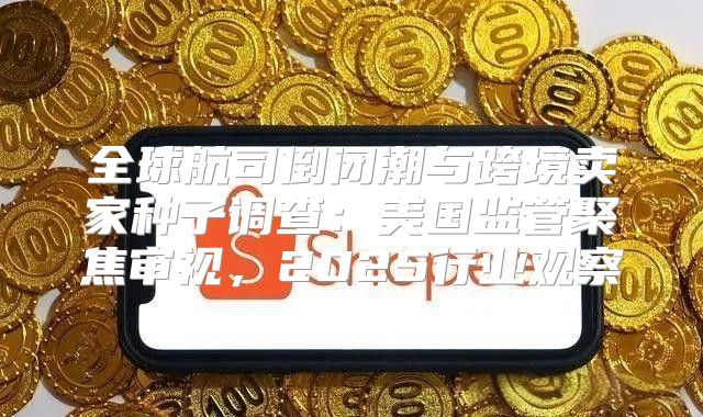 全球航司倒闭潮与跨境卖家种子调查：美国监管聚焦审视，2025行业观察