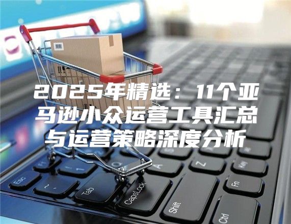2025年精选：11个亚马逊小众运营工具汇总与运营策略深度分析