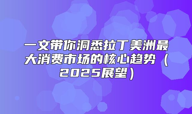 一文带你洞悉拉丁美洲最大消费市场的核心趋势2025展望