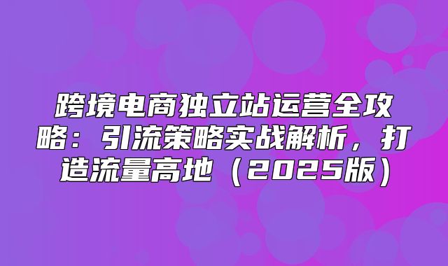 跨境电商独立站运营全攻略：引流策略实战解析，打造流量高地2025版