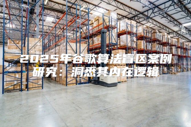 2025年谷歌算法盲区案例研究：洞悉其内在逻辑