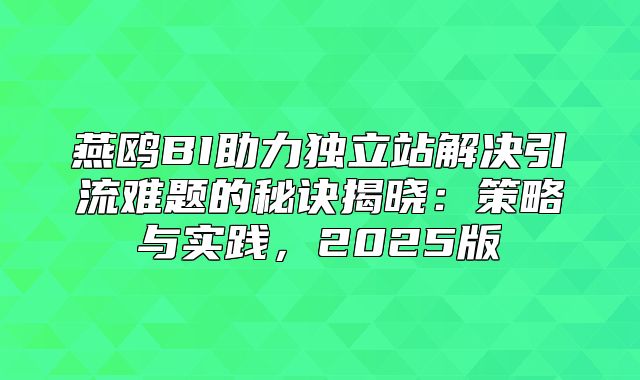 燕鸥BI助力独立站解决引流难题的秘诀揭晓：策略与实践，2025版
