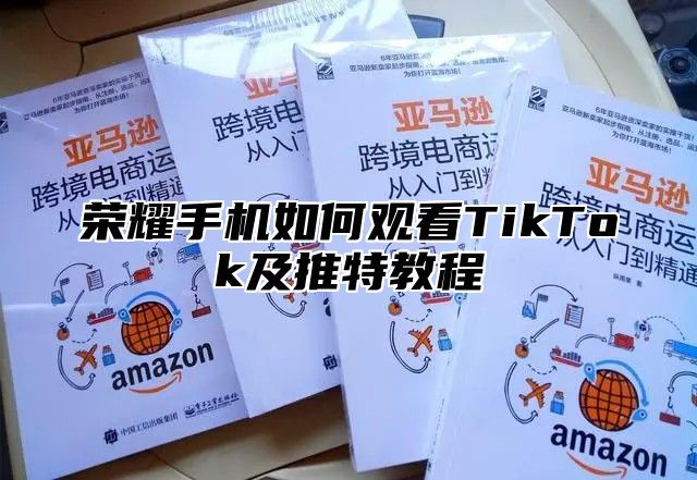 荣耀手机如何观看TikTok及推特教程
