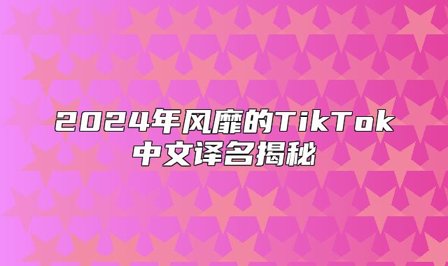 2025年风靡的TikTok中文译名揭秘