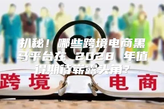 扒秘！哪些跨境电商黑马平台在 2028 年值得期待崭露头角？