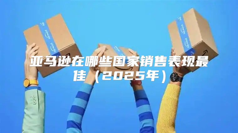 亚马逊在哪些国家销售表现最佳2025年