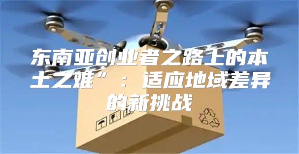 东南亚创业者之路上的本土之难”：适应地域差异的新挑战