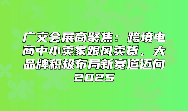 广交会展商聚焦：跨境电商中小卖家跟风卖货，大品牌积极布局新赛道迈向2025