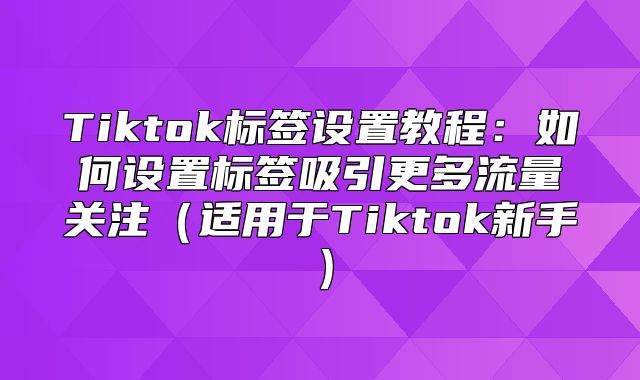 Tiktok标签设置教程：如何设置标签吸引更多流量关注适用于Tiktok新手