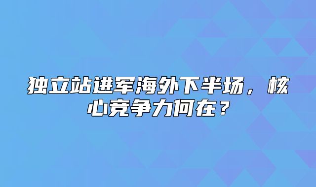 独立站进军海外下半场，核心竞争力何在？