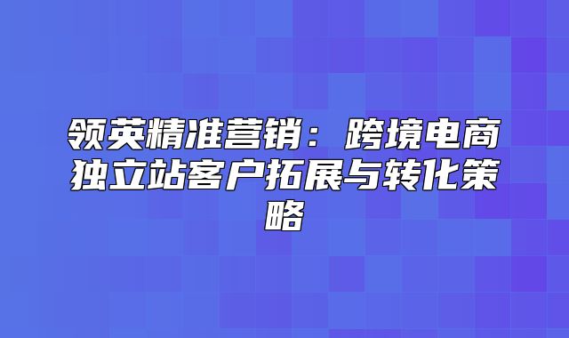 领英精准营销：跨境电商独立站客户拓展与转化策略
