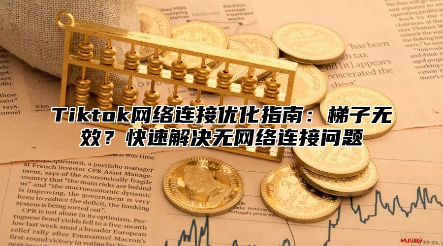 Tiktok网络连接优化指南：梯子无效？快速解决无网络连接问题
