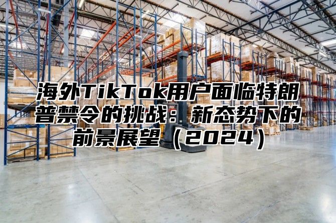 海外TikTok用户面临特朗普禁令的挑战：新态势下的前景展望2025