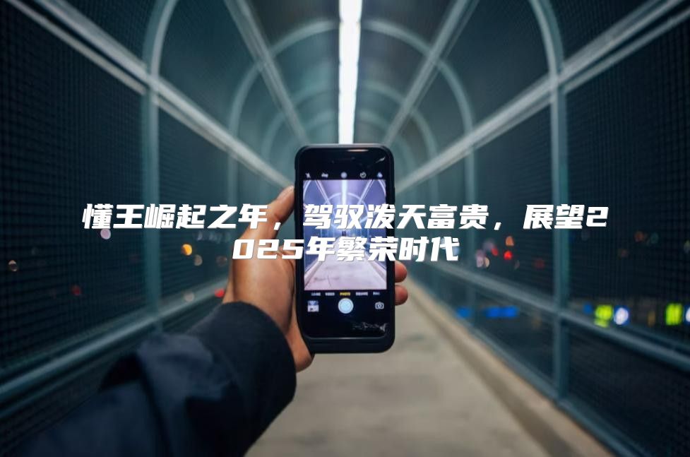 懂王崛起之年，驾驭泼天富贵，展望2025年繁荣时代