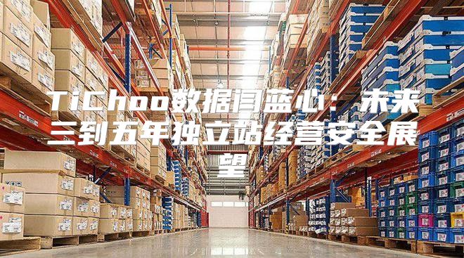 TiChoo数据闫蓝心：未来三到五年独立站经营安全展望