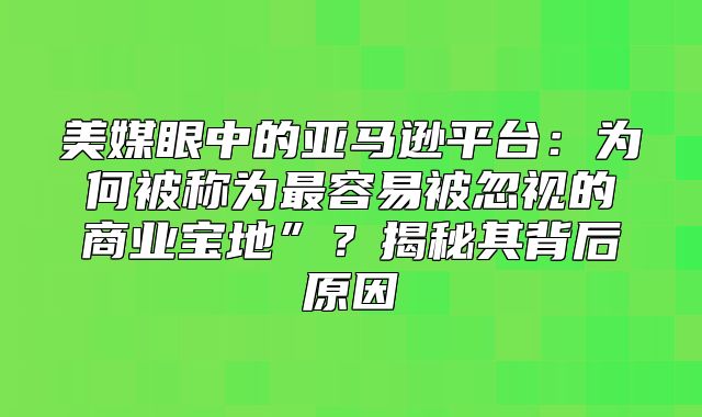 美媒眼中的亚马逊平台：为何被称为最容易被忽视的商业宝地”？揭秘其背后原因