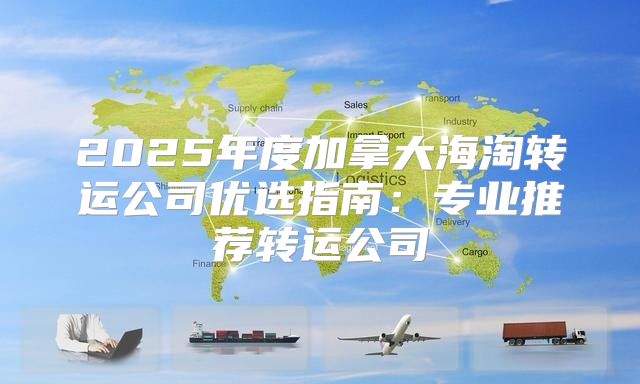 2025年度加拿大海淘转运公司优选指南：专业推荐转运公司