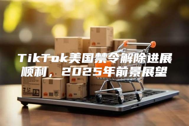 TikTok美国禁令解除进展顺利，2025年前景展望