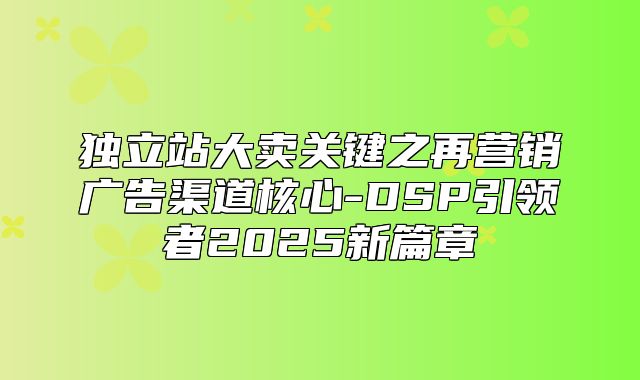 独立站大卖关键之再营销广告渠道核心-DSP引领者2025新篇章