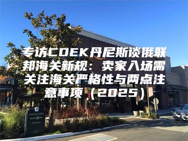专访CDEK丹尼斯谈俄联邦海关新规：卖家入场需关注海关严格性与两点注意事项2025