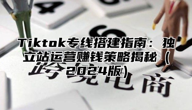 Tiktok专线搭建指南：独立站运营赚钱策略揭秘2025版