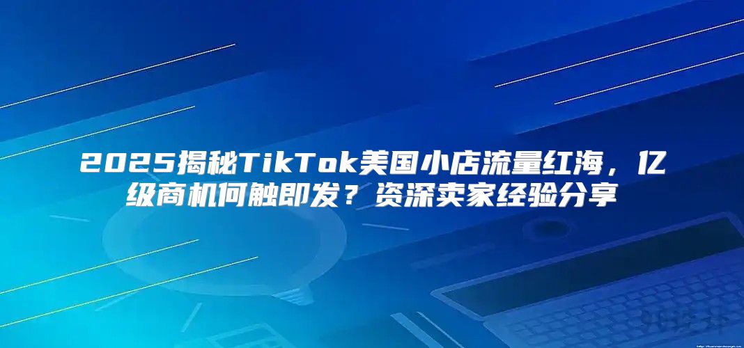 2025揭秘TikTok美国小店流量红海，亿级商机何触即发？资深卖家经验分享