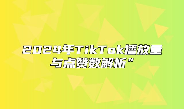 2025年TikTok播放量与点赞数解析”