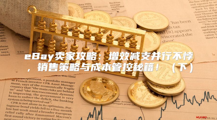 eBay卖家攻略：增效减支并行不悖，销售策略与成本管控秘籍！下