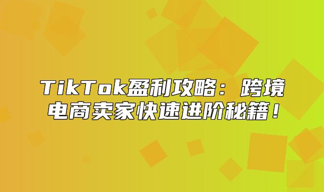 TikTok盈利攻略：跨境电商卖家快速进阶秘籍！