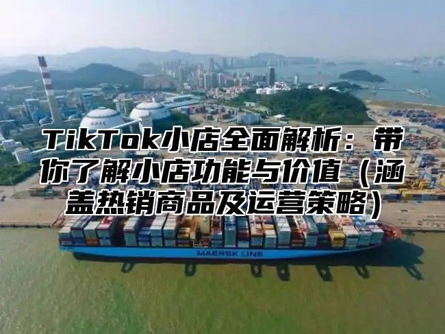 TikTok小店全面解析：带你了解小店功能与价值涵盖热销商品及运营策略