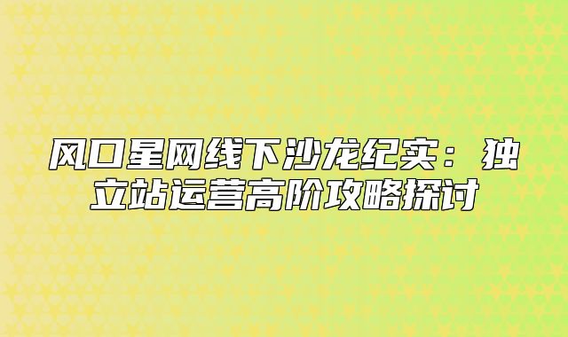 风口星网线下沙龙纪实：独立站运营高阶攻略探讨