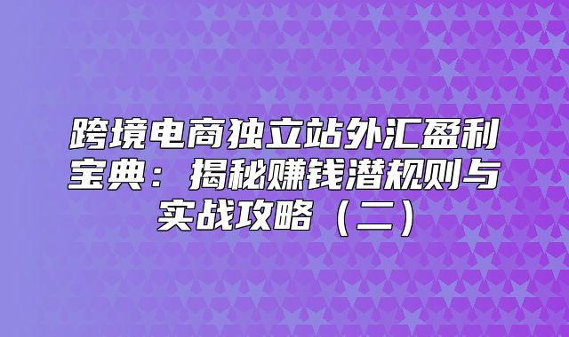 跨境电商独立站外汇盈利宝典：揭秘赚钱潜规则与实战攻略二