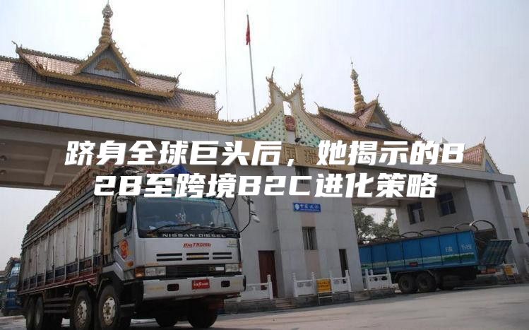 跻身全球巨头后，她揭示的B2B至跨境B2C进化策略