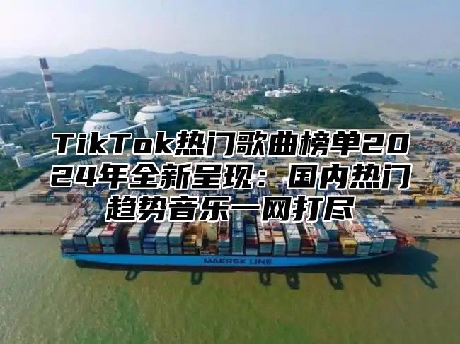 TikTok热门歌曲榜单2025年全新呈现：国内热门趋势音乐一网打尽