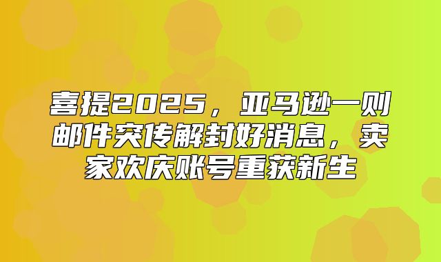 喜提2025，亚马逊一则邮件突传解封好消息，卖家欢庆账号重获新生