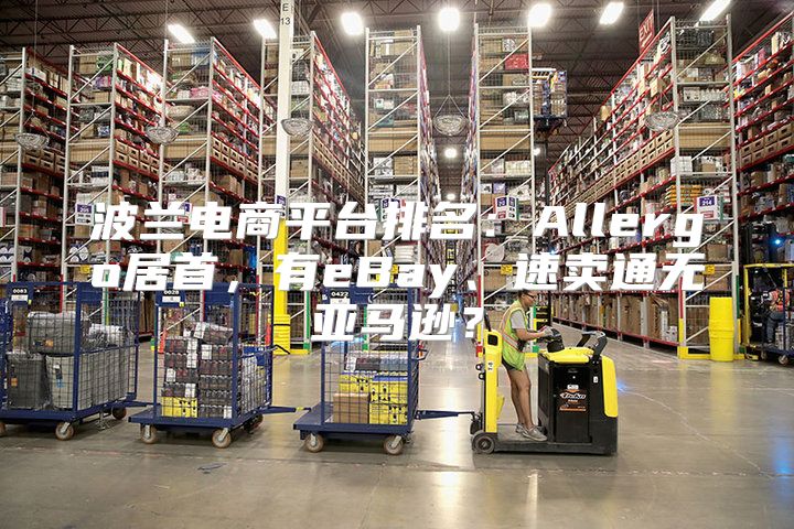 波兰电商平台排名：Allergo居首，有eBay、速卖通无亚马逊？