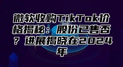 微软收购TikTok价格揭秘：股份已售否？进展揭晓在2025年