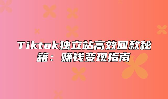 Tiktok独立站高效回款秘籍：赚钱变现指南