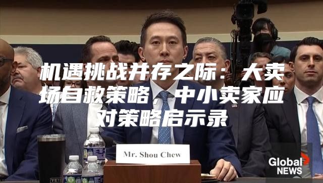 机遇挑战并存之际：大卖场自救策略，中小卖家应对策略启示录