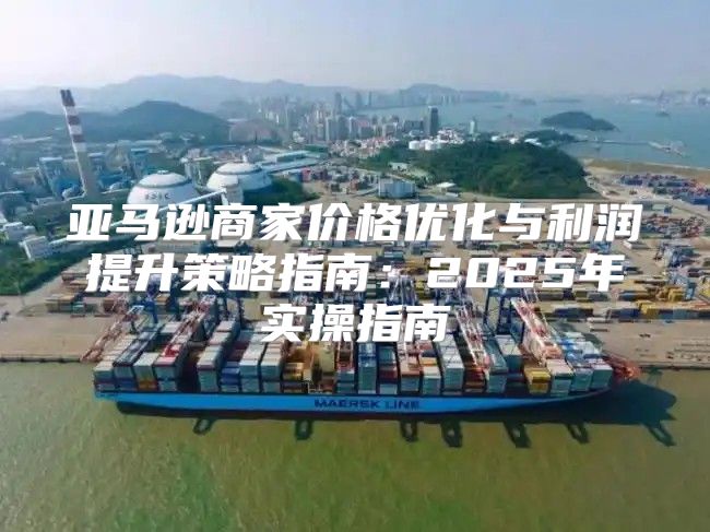 亚马逊商家价格优化与利润提升策略指南：2025年实操指南